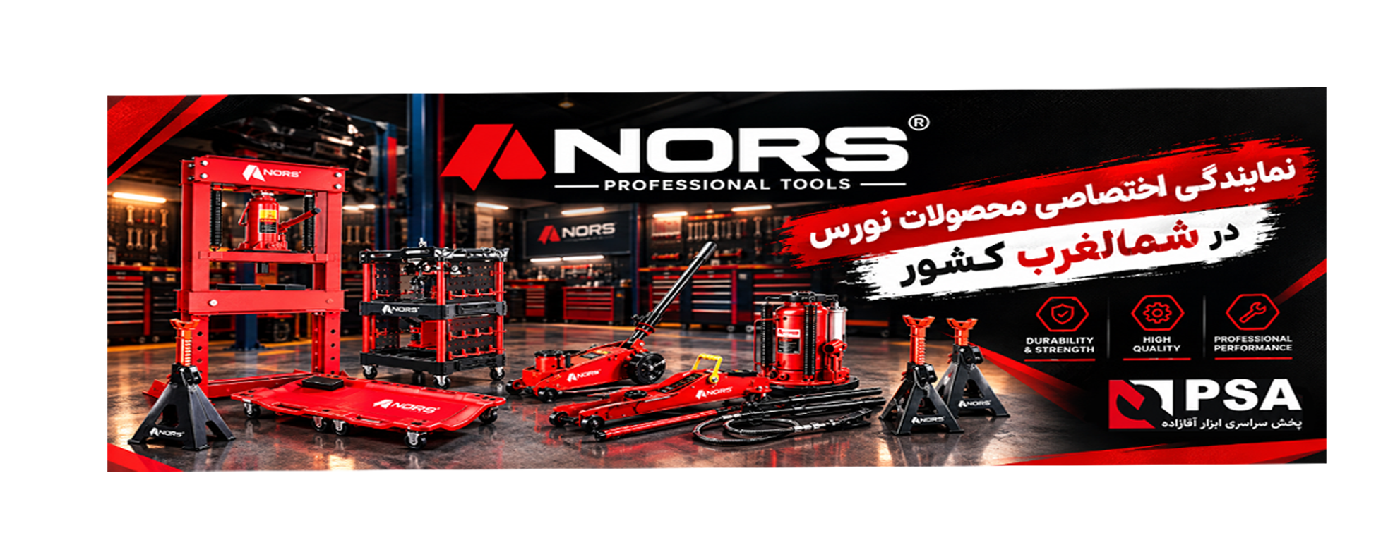 نورس